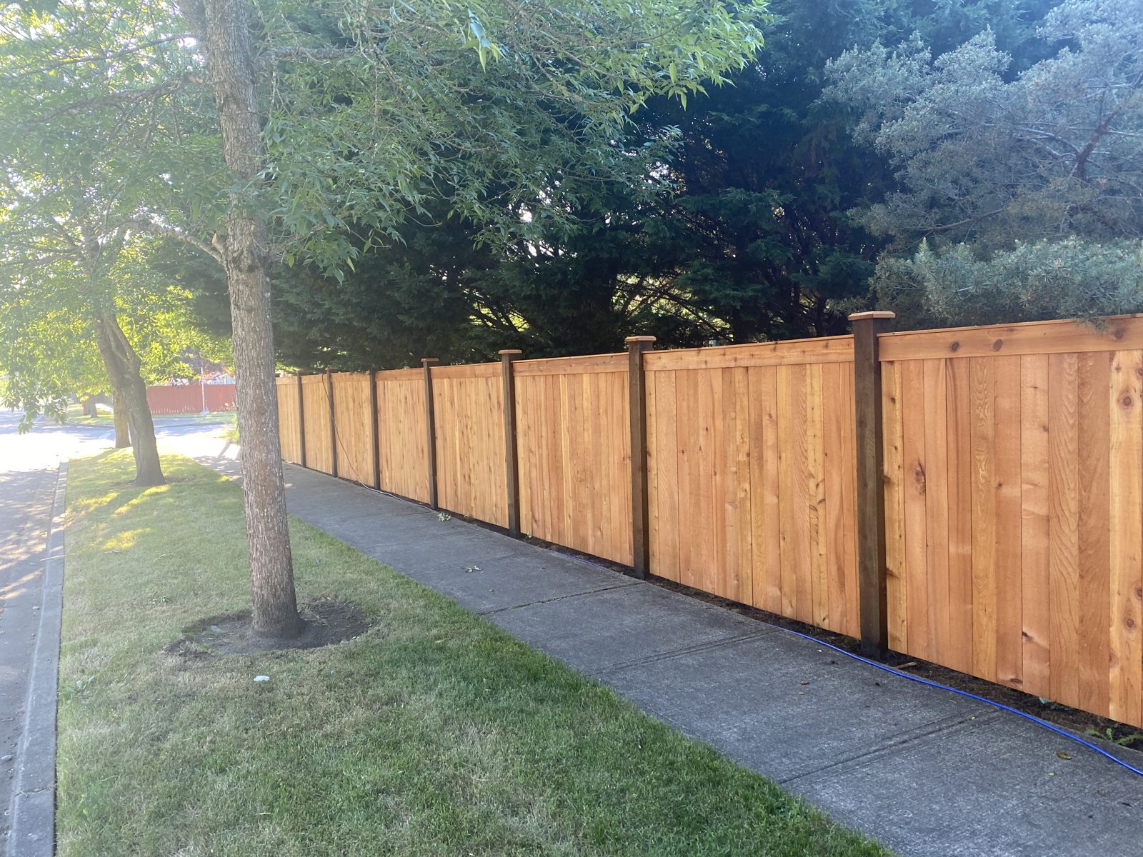 Cedar fence along a sidewalk